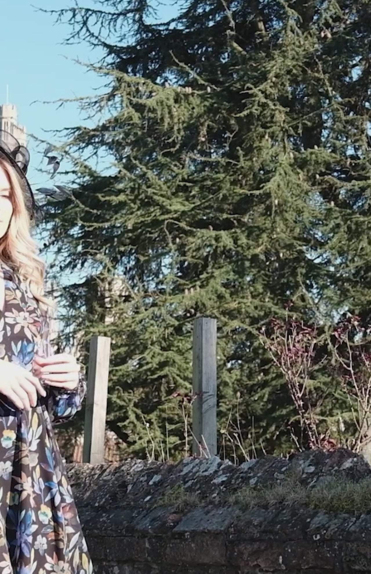 Felice Printed Chiffon Dress